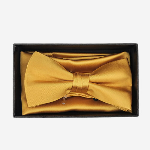 Veniz kultainen rusetti taskuliinalla